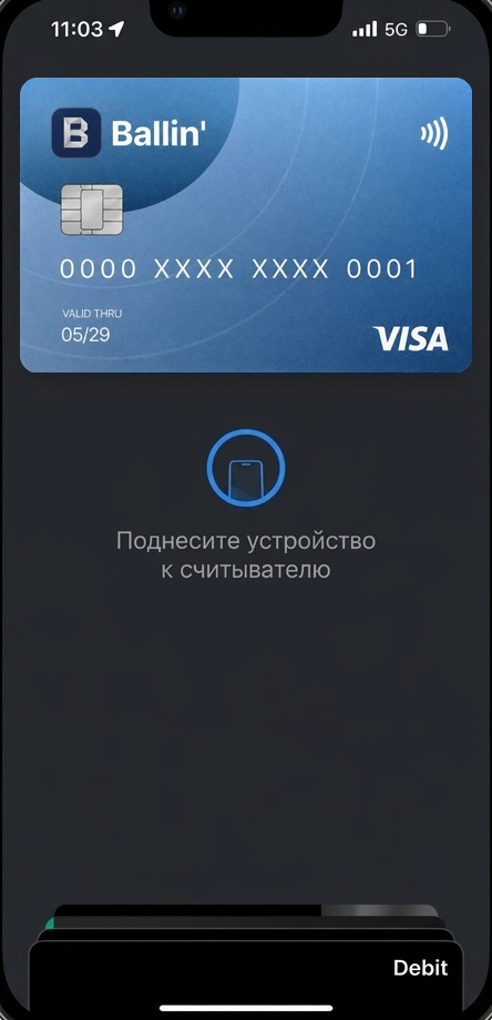 Apple Pay screen